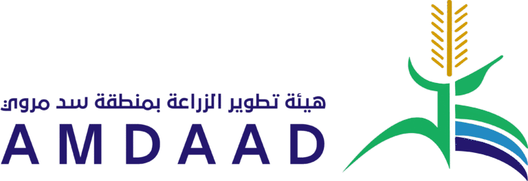 36eecf104be717a206c59e761c15058da8606c8b-5-1-768x264